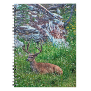 Beddenbok Notitieboek