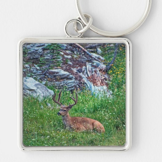 Beddenbok Sleutelhanger (Voorkant)
