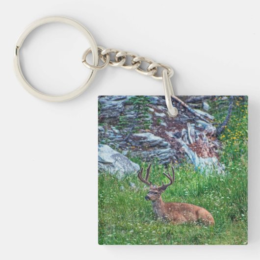 Beddenbok Sleutelhanger (Voorkant)