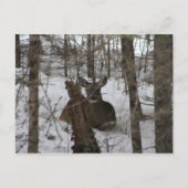 Beddengoed in Haynesville, Maine Briefkaart (Voorkant)