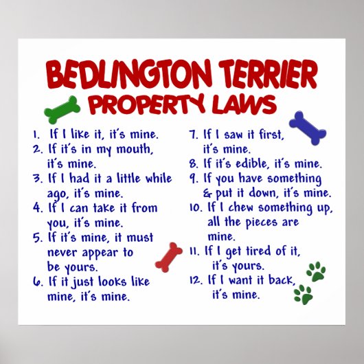 BEDDLINGTON TERRIER PL2 POSTER (Voorkant)