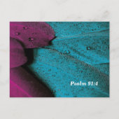 Bedek me met uw veren briefkaart (Achterkant)