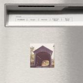 Bedekte brug magneet (Insitu (Vaatwasser))