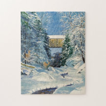 Bedekte Brug met Sneeuw en Der bij Stroom