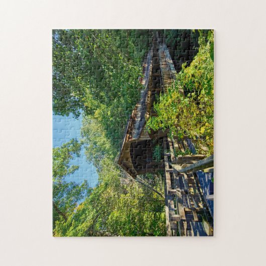 Bedekte brug Ohio. Legpuzzel (Verticaal)