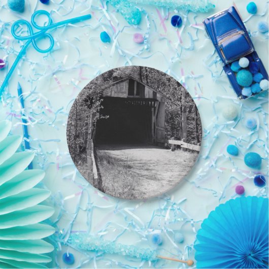 Bedekte brug papieren bordje (Feest)