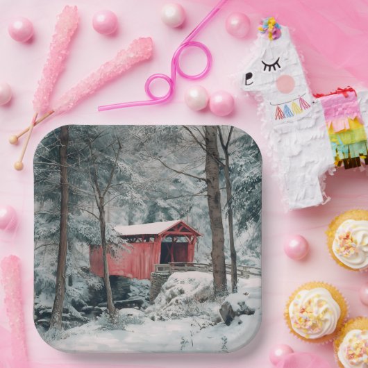 Bedekte brug papieren bordje (Feest)