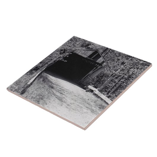 Bedekte brug tegeltje (Zijkant)