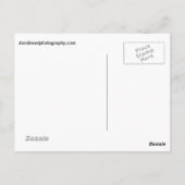 Bedekte stroom briefkaart (Achterkant)