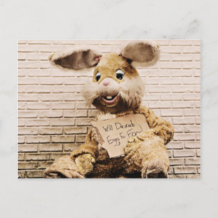 Bedelaar Bunny, Konijnenpak, Grappig Briefkaart