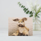 Bedelaar Bunny, Konijnenpak, Grappig Briefkaart (Staand voorkant)