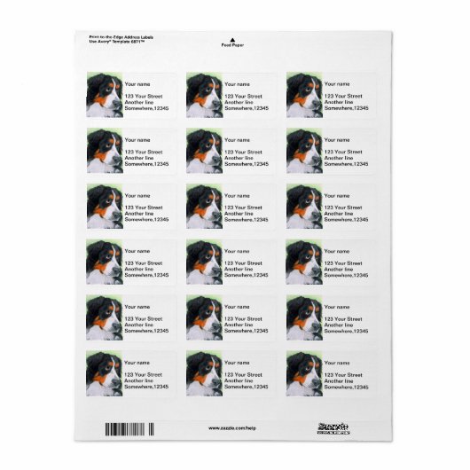 Bedelen Bernese Etiket (Full Sheet)