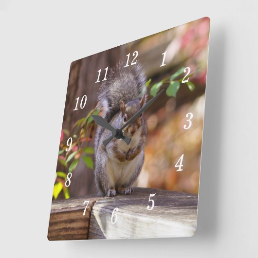 Bedelen Eekhoorn Wandklok (Hoek)