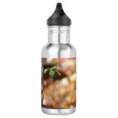 Bedelen eekhoorn waterfles (Rechts)