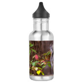 Bedelen eekhoorn waterfles waterfles  (Links)