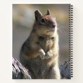 bedelen grond eekhoorn Natuur foto Notitieboek (Achterkant)