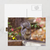 Bedelende eekhoorn dankjewel ansichtkaart briefkaart (Voorkant / Achterkant)