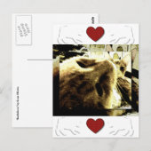 "Bedfellows" door Suan S'Katra Briefkaart (Voorkant / Achterkant)