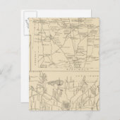 Bedford, Amherst, Hillsborough Co. Briefkaart (Voorkant / Achterkant)