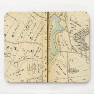 Bedford, New York 5 Muismat