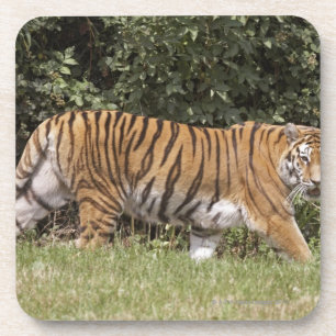 Bedfordshire, Engeland 2 Bier Onderzetter