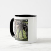 Bedfordshire, Engeland Mok (Voorkant links)