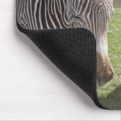 Bedfordshire, Engeland Muismat (Hoek)