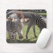 Bedfordshire, Engeland Muismat (Met muis)