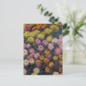 Bedje van Chrysanthema van Claude Monet Briefkaart (Staand voorkant)