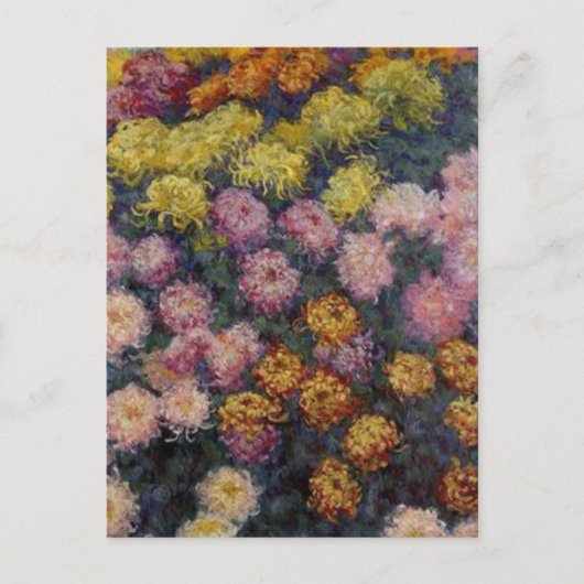 Bedje van Chrysanthema van Claude Monet Briefkaart (Voorkant)