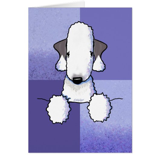 Bedlington Terrier (Voorkant)