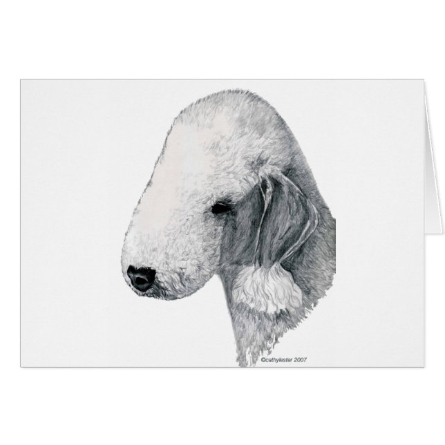 Bedlington Terrier (Voorkant Horizontaal)