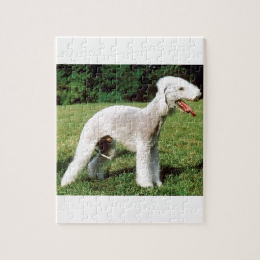 Bedlington Terrier Dog Legpuzzel (Verticaal)