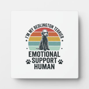 Bedlington-terriër Emotionele Ondersteuning Mens V Fotoplaat