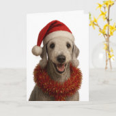 Bedlington Terrier in a Santa hat Christmas card Kaart (Gele Bloem)
