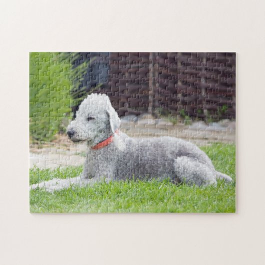 Bedlington Terrier Legpuzzel (Horizontaal)