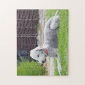 Bedlington Terrier Legpuzzel (Verticaal)