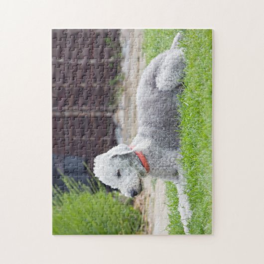 Bedlington Terrier Legpuzzel (Verticaal)