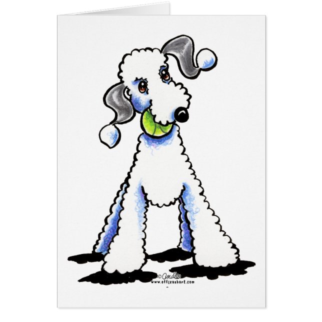 Bedlington Terrier Let's Play (Voorkant)