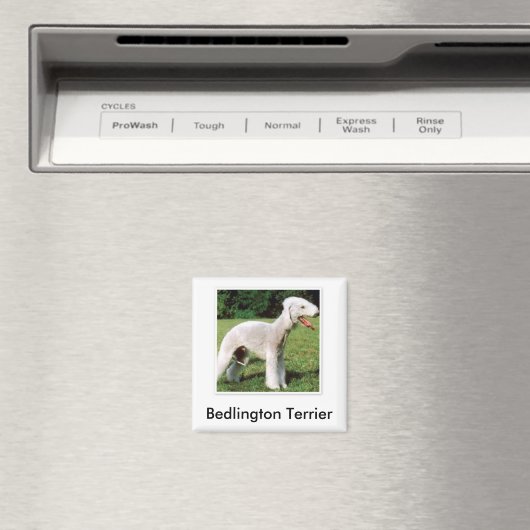 Bedlington Terrier Magnet (Insitu (Vaatwasser))