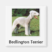 Bedlington Terrier Magnet (Voorkant)