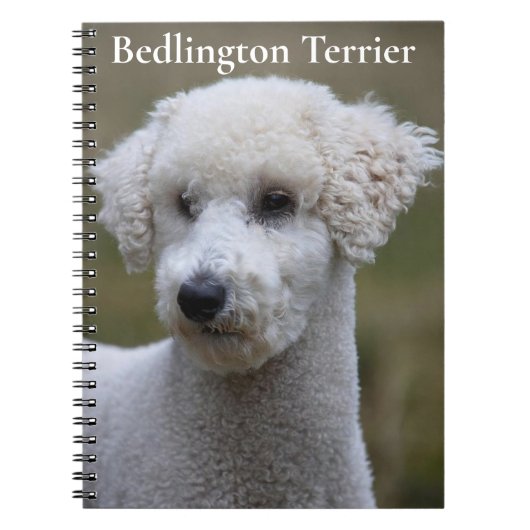Bedlington Terrier Notitieboek (Voorkant)