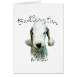 Bedlington Terrier Pa 2