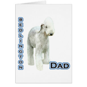 Bedlington Terrier Pa 4