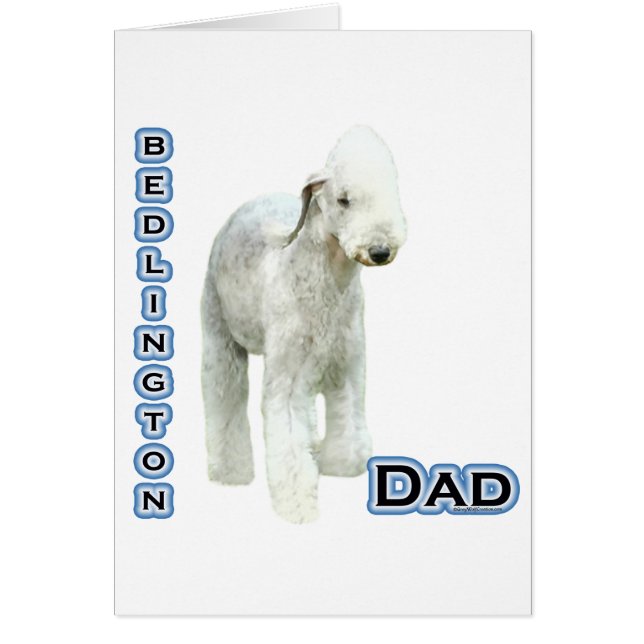 Bedlington Terrier Pa 4 (Voorkant)