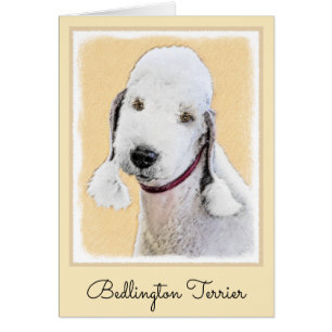 Bedlington Terrier Painting - Originele Dog Art