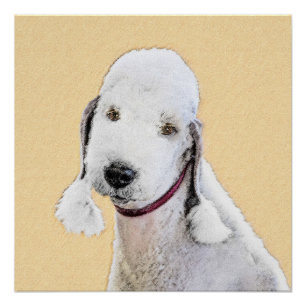 Bedlington Terrier Painting - Originele Dog Art Perfect Poster
