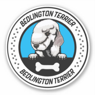 Bedlington Terrier Peeking Illustration Badge Sticker