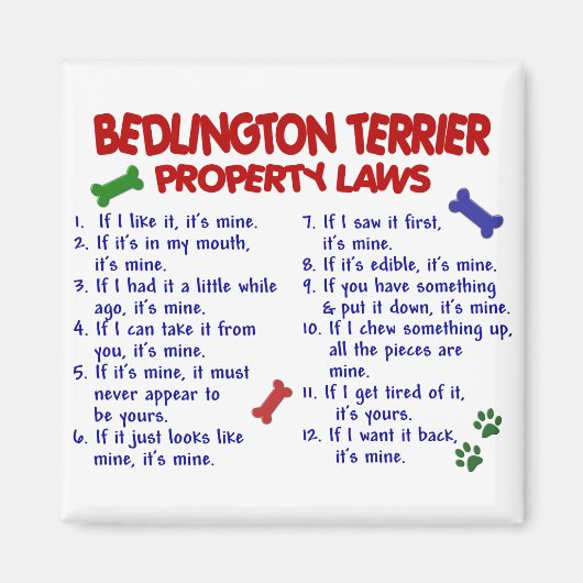 BEDLINGTON TERRIER Property Laws 2 Magneet (Voorkant)