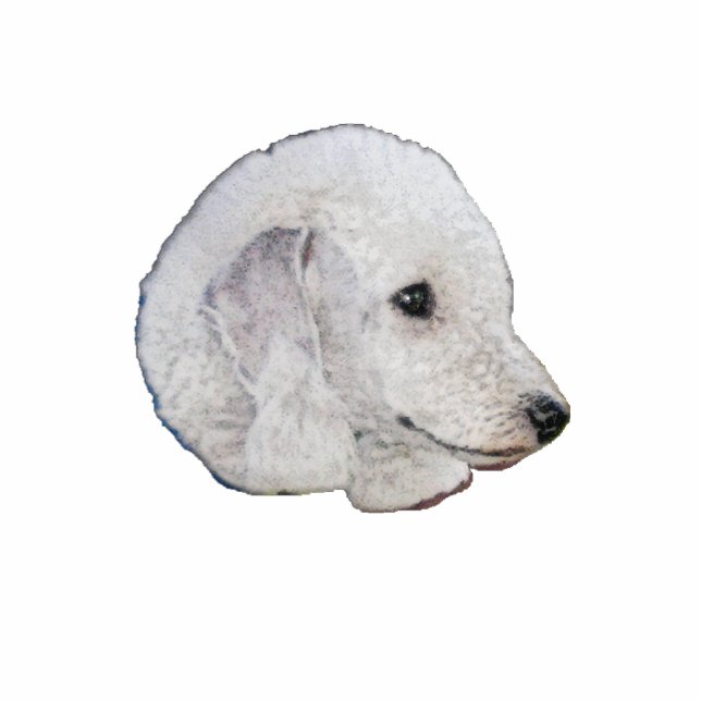 Bedlington Terrier Staand Fotobeeldje (Voorkant)